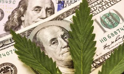 Photo Illustration of Marijuana Leaves and $100 bills