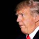 Photo of President Donald Trump