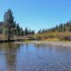 Photo of the San Joaquin River