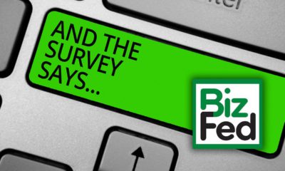 Composite illustration of the BizFed CV logo and the words "And the survey says"