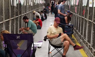 Photo of people sitting in the animal shelter in Phoenix, comforting dogs during 4th of July fireworks