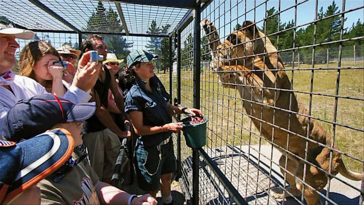 Photo of The Lehe Ledu Wildlife Zoo in China