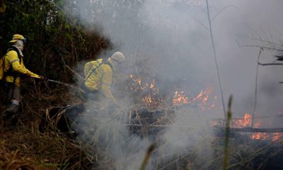 Photo of firefighters working to put out fires in the Jacunda National Forest
