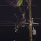 Photo of a paraglider trapped in a power line