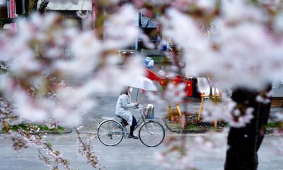 Photo of a woman riding her bike in Tokyo
