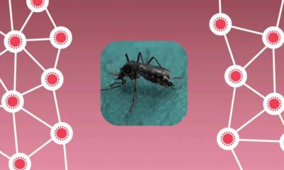 Illustration conveying mosquitoes and disease transmission