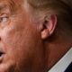 Photo of Donald Trump