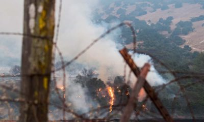Photo of the River Fire
