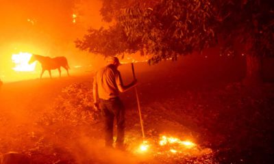 Photo of wildfires