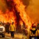 Photo of fire